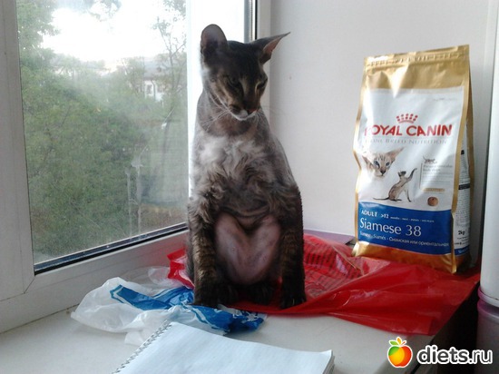 10 ����: ��� ������� ����