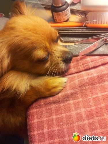 1 ����: ��� ����