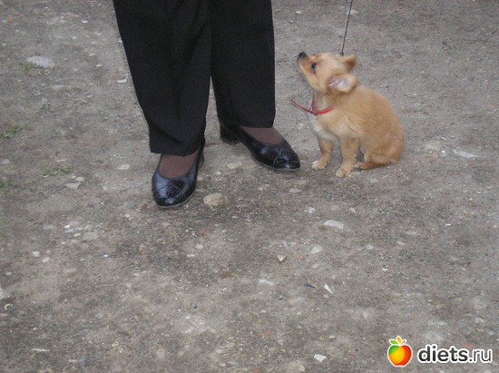 2 ����: ��� ����