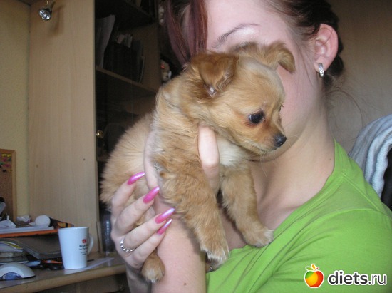 3 ����: ��� ����