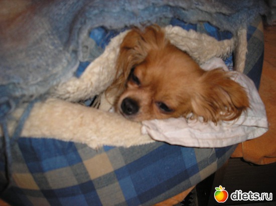 7 ����: ��� ����