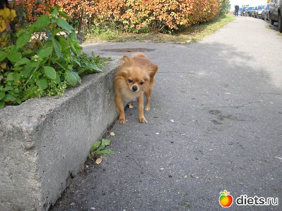 8 ����: ��� ����