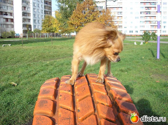 9 ����: ��� ����