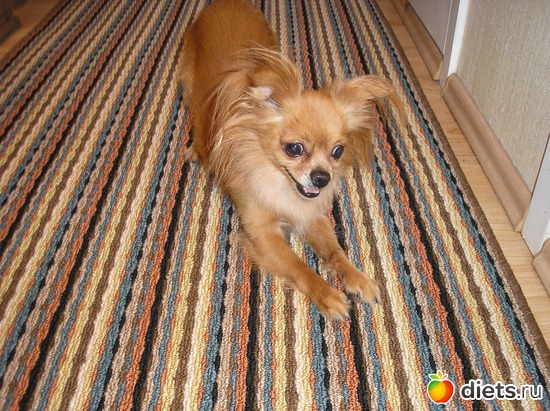 10 ����: ��� ����