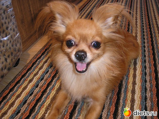 11 ����: ��� ����