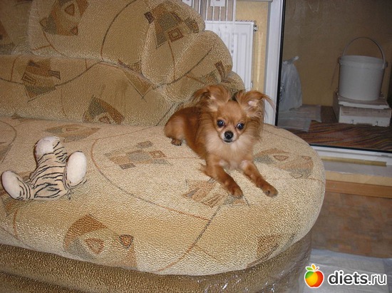 12 ����: ��� ����