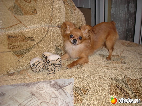 13 ����: ��� ����