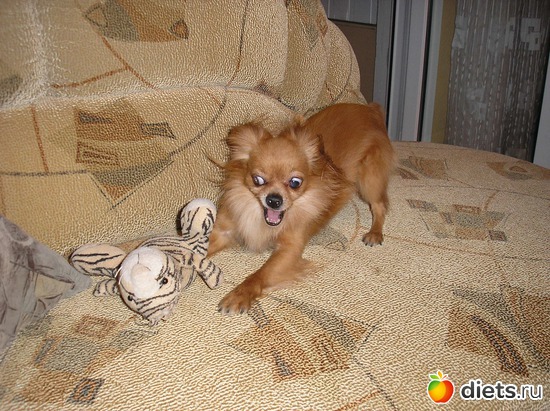 14 ����: ��� ����