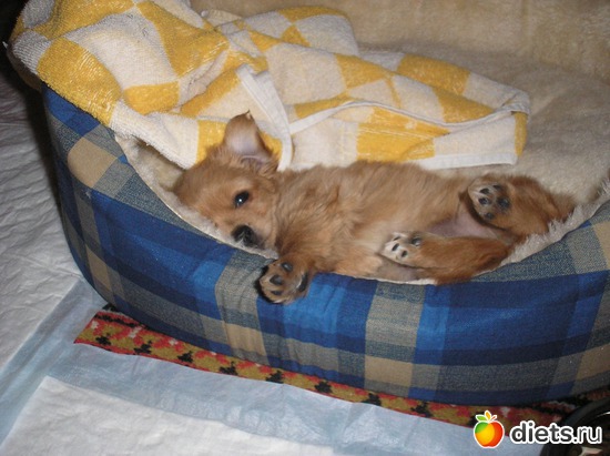 15 ����: ��� ����