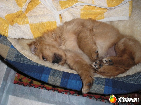 16 ����: ��� ����