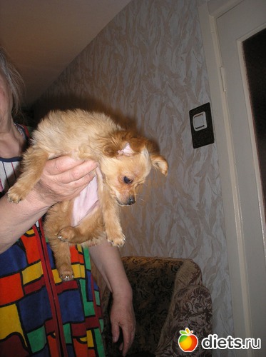 17 ����: ��� ����