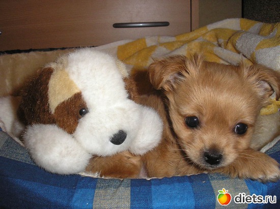 19 ����: ��� ����