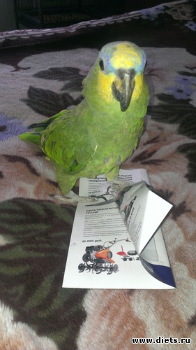 1 ����: ����, ��� �������!