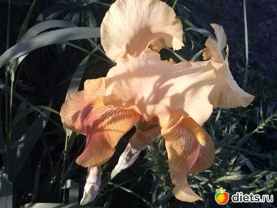 1 ����: ������������ � ����