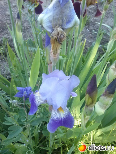 2 ����: ������������ � ����