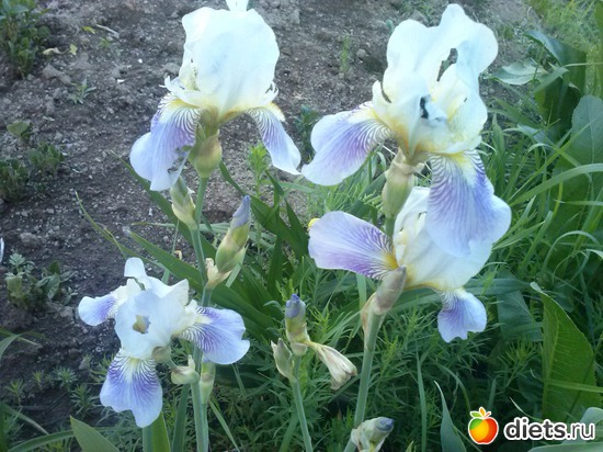 3 ����: ������������ � ����