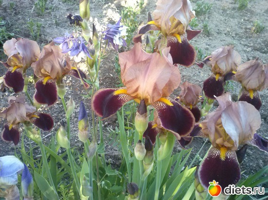 4 ����: ������������ � ����