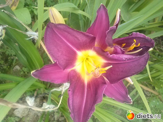 5 ����: ������������ � ����