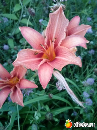 6 ����: ������������ � ����