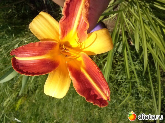 8 ����: ������������ � ����