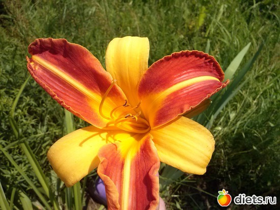 9 ����: ������������ � ����