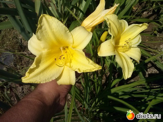 10 ����: ������������ � ����