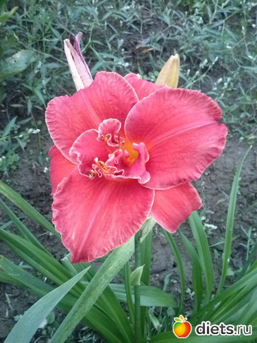 12 ����: ������������ � ����