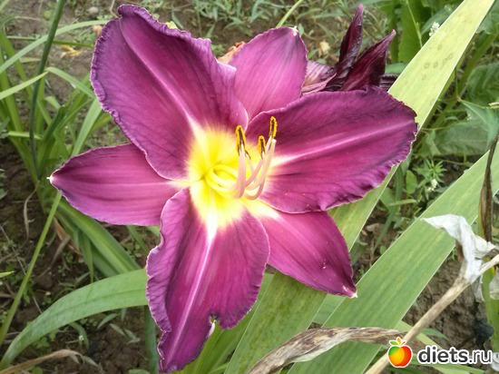 14 ����: ������������ � ����