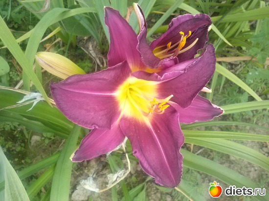 15 ����: ������������ � ����