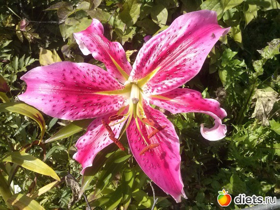 16 ����: ������������ � ����