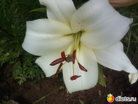 17 ����: ������������ � ����