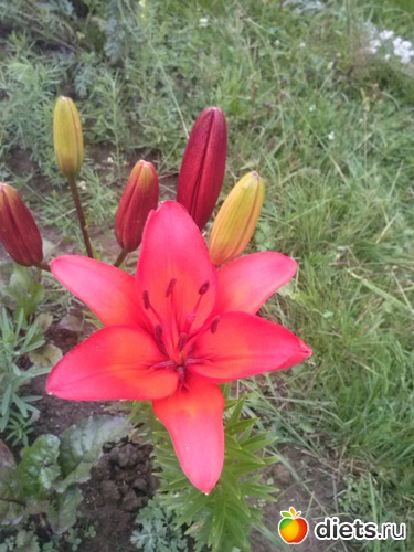 19 ����: ������������ � ����