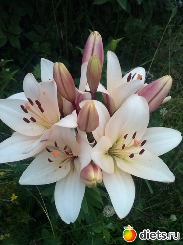 20 ����: ������������ � ����