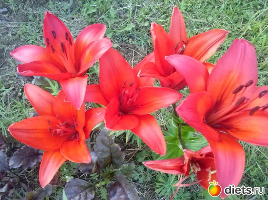 21 ����: ������������ � ����