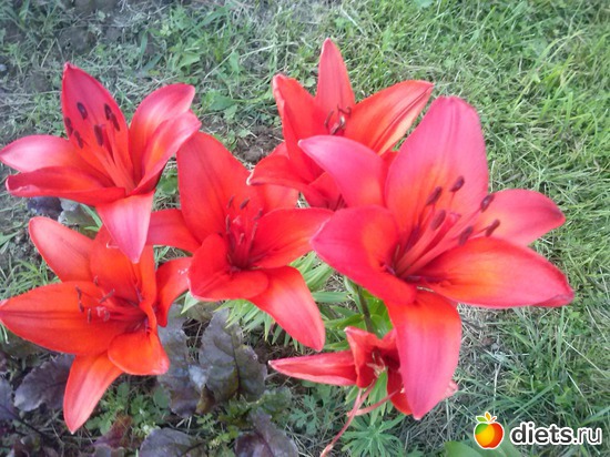 22 ����: ������������ � ����