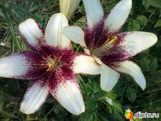 23 ����: ������������ � ����