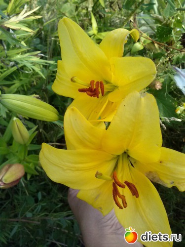 24 ����: ������������ � ����