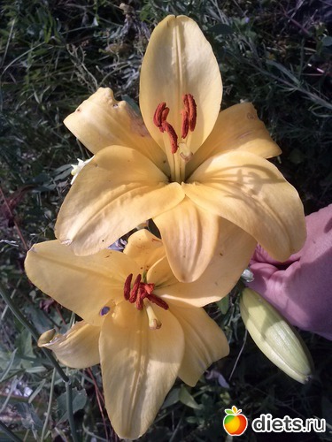 25 ����: ������������ � ����