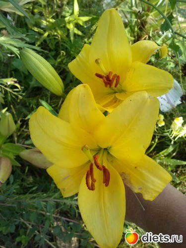 26 ����: ������������ � ����