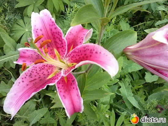 27 ����: ������������ � ����