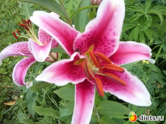 28 ����: ������������ � ����