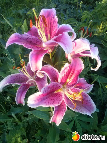 29 ����: ������������ � ����