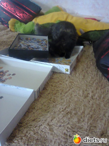 59 ����: �����