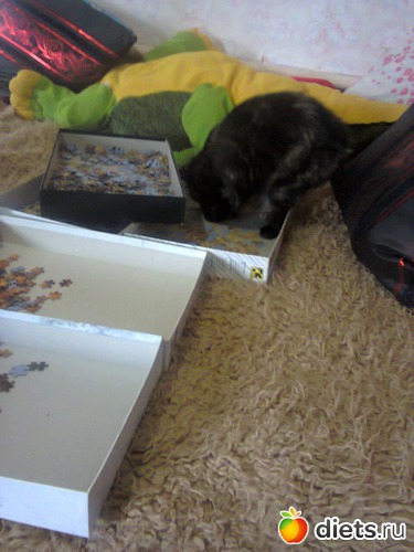 60 ����: �����