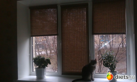 9 фото: Люстра