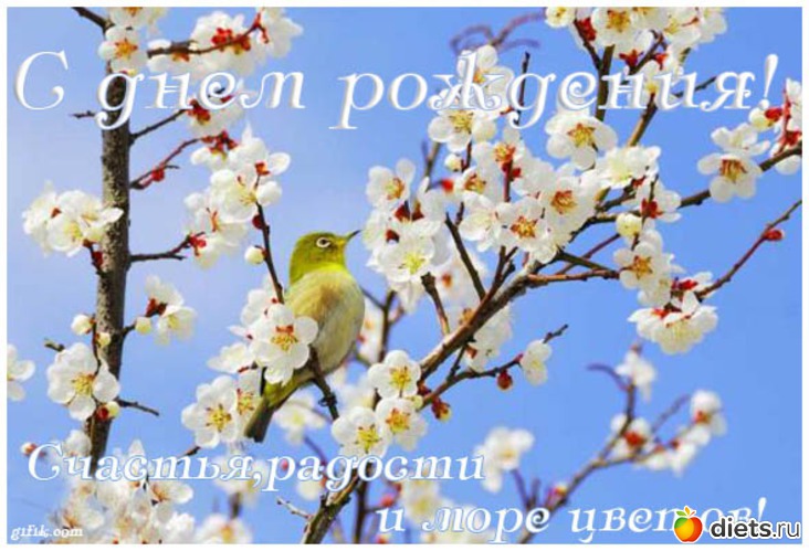 1 фото: Разное