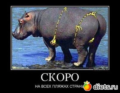 Мотивашечки