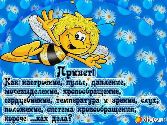 Фото как дела, привет, ПРИВЕТ КАК ДЕЛА