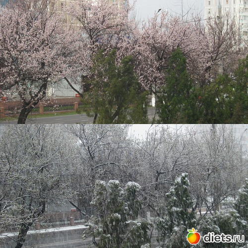 ������� ����� � �������!, ������: ��������� ���� ����