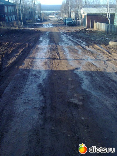 5 фото: фото отчеты